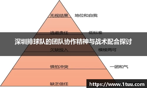 易游体育