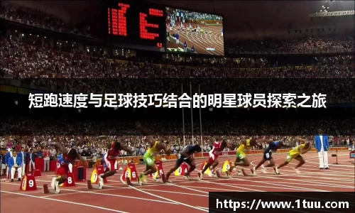 米乐YY易游