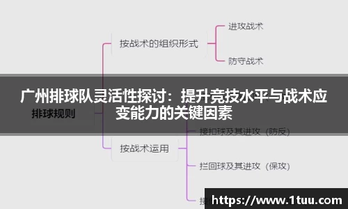 米乐YY易游